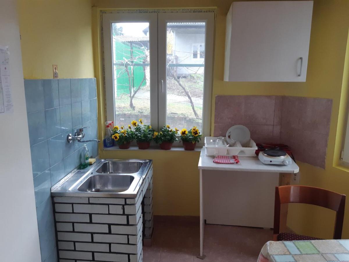 Apartman Novi Sad - Apartment Novi Sad Sremska Kamenica Esterno foto